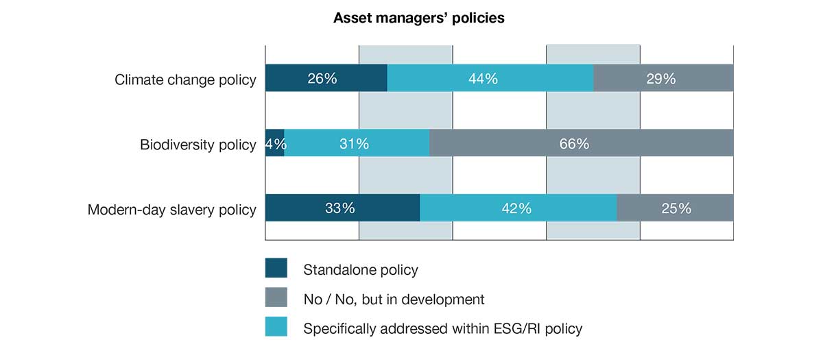 asset managers' policies