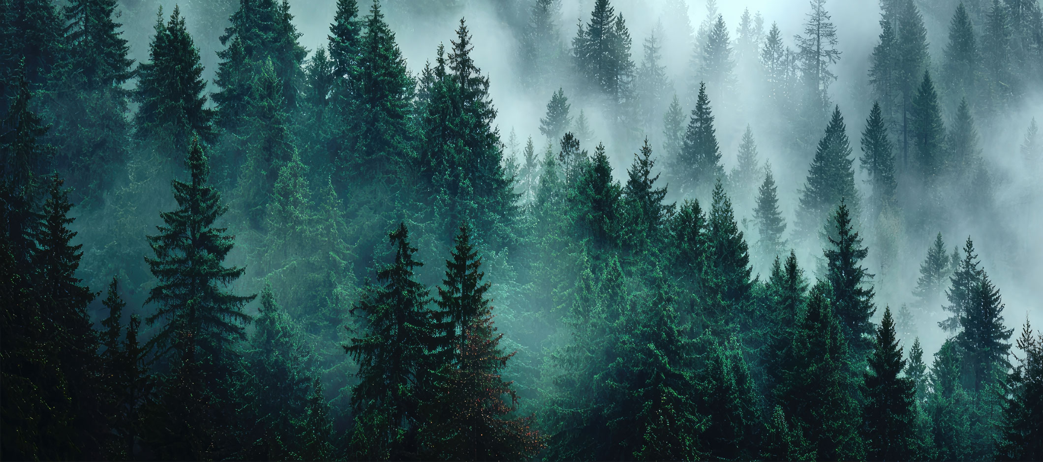 Navigating evergreen private markets in a world of closed-end data