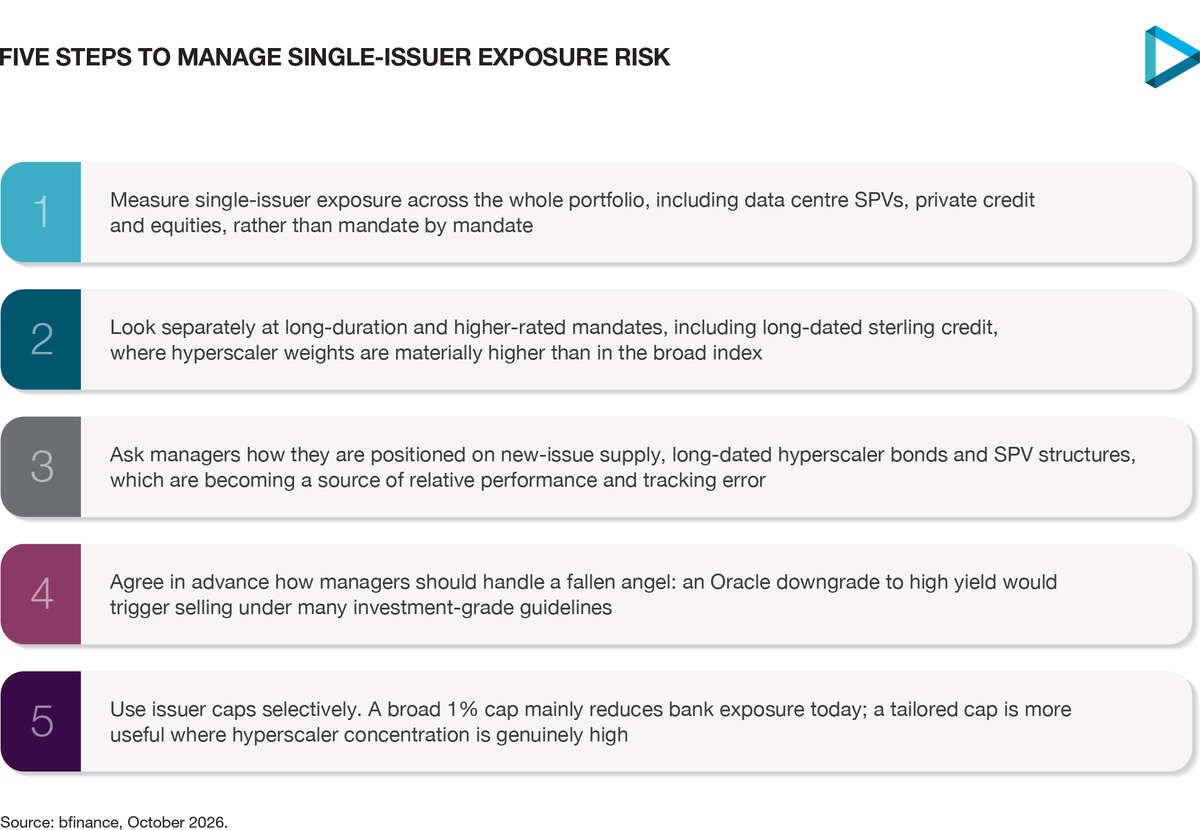 Five steps for investors to manage single-issuer exposure risk, from measuring exposure across the whole portfolio to using issuer caps selectively