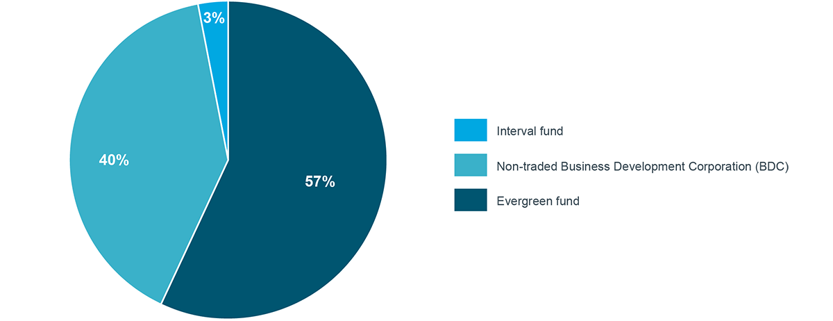 Structure of open-ended private debt funds