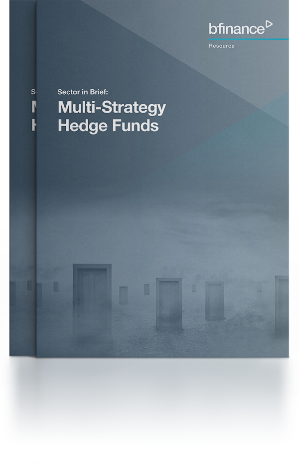 Multi-Strategy Hedge Funds - Sector in Brief