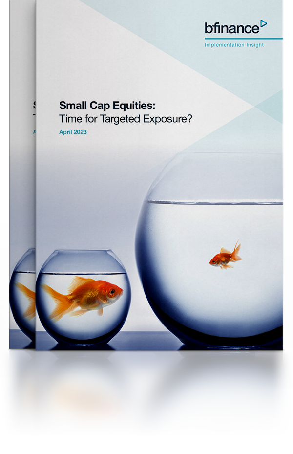 Small Cap Equities: Time for Targeted Exposure? 