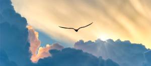 As Private Market Secondaries Soar, Investors Must Demand Discipline