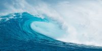 Investment management fees: Pricing pressure in the turbulent twenties