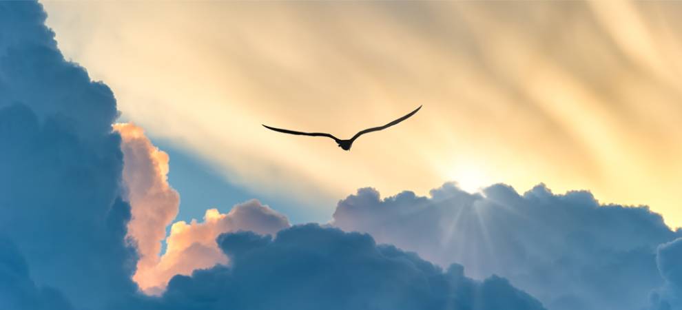 As Private Market Secondaries Soar, Investors Must Demand Discipline