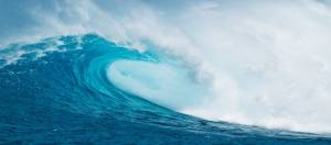 Investment Management Fees: Pricing pressure in the turbulent twenties