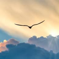 As Private Market Secondaries Soar, Investors Must Demand Discipline