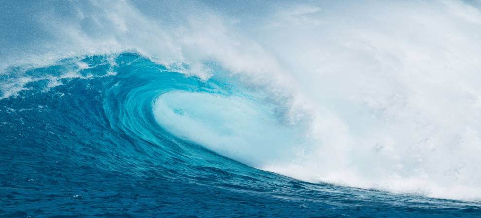 Investment Management Fees: Pricing pressure in the turbulent twenties