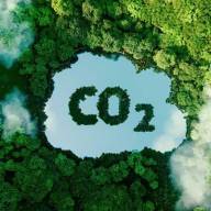 Carbon Cuts or Climate Impact? New Choices for Equity Investors