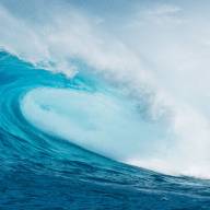 Investment Management Fees: Pricing pressure in the turbulent twenties